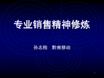 《专业销售修炼》