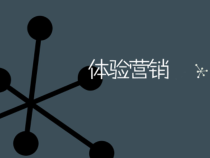 0体验营销