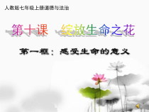 第十课《绽放生命之花——感受生命的意义》PPT课件2-七年级上册道德与法治部编人教版