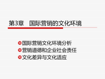 03-国际营销的文化环境