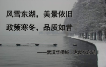 03武汉华侨城营销代理提案221(NXPowerLite)