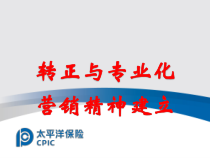03-专业化营销精神的建立6984517379
