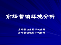 5第五章营销环境