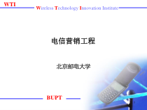 9--电信营销工程