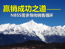 30秒决定成败赢销讲师手册