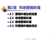 32-第2章营销环境-32-XXXX