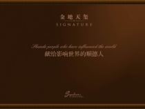 1116_顺德_金地营销天玺分享