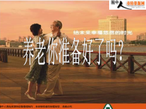 11459775338_中国平安鑫祥销售新思路(29