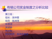 B4一个关于传销的文档