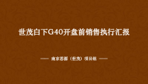 BA--思源XXXX年南京世茂白下G40开盘前销售执行汇报