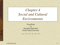 ch04SocialandCulturalEnvironments(全球营销,沃伦