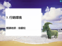 Ch5 行销环境