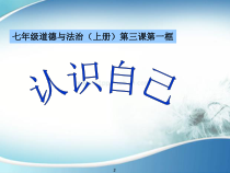 3.1《认识自己》PPT课件7-七年级上册道德与法治部编版