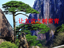 5.1《让友谊之树常青》PPT课件8-七年级上册道德与法治部编版