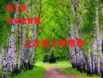 5.1《让友谊之树常青》PPT课件16-七年级上册道德与法治部编版
