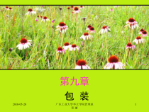 第九章 物流包装