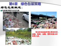 第六章绿色包装策略
