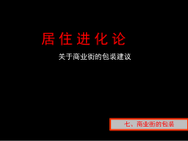 某商业街的包装建议推广策划案