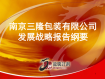 三隆包装战略纲要完稿改