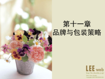 商品品牌与包装策略研讨