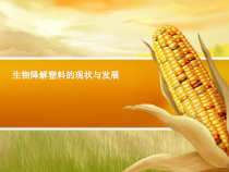生物降解包装材料的现状与发展