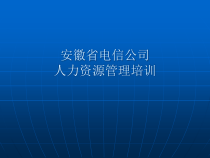 『人力资源培训』某电力公司人力资源管理资料
