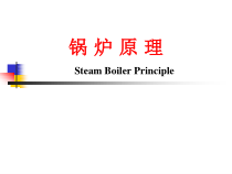01第一章中国电力发展方向