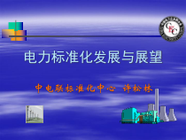 1电力标准化发展与展望__中电联标准化中心许松林