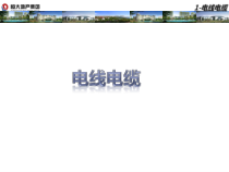 1-电线电缆