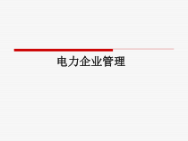 03电力企业管理