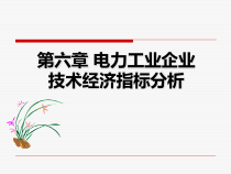 6第六章电力工业企业主要技术经济指标分析