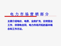 6第六章电力市场营销-电价