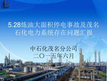 528炼油大面积停电事故及茂名石化电力系统存在问题情