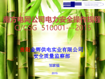 XXXX版南方电网公司电力安全操作规程培训课件