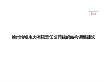XX电力有限责任公司组织结构调整建议(讨论稿)(38页)