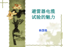 避雷器及电缆试验