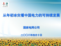 从年初冰灾看中国电力的可持续发展