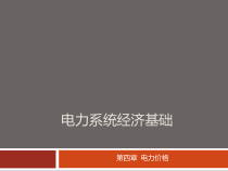 第五章电力价格