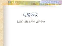 电缆常识(ppt 10)