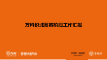 上海某地产悦城住宅项目蓄客阶段工作汇报