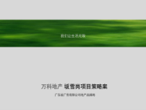 深圳某地产坂雪岗项目策略114p