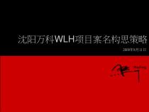 沈阳某地产WLH项目案名构思策略案