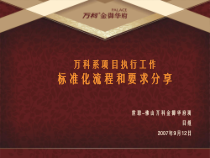 世联某地产系项目执行工作标准化流程34个文件精