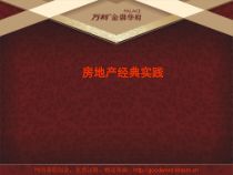 世联某地产项目执行工作标准化流程分享