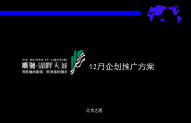 顺驰湖畔天城房地产项目推广方案