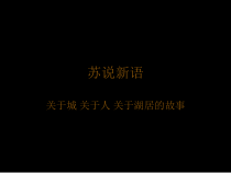 苏州新区地产项目概念推广前期