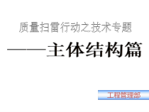 武汉某地产房地产项目工程管理45P