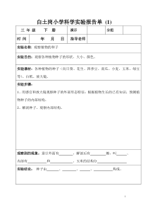 (-三年级下册-)科学实验报告单(同名8766)