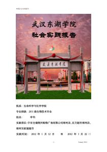 社会实践报告