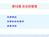 第13章安全性管理